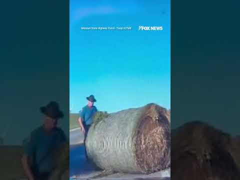 You are currently viewing WATCH: State Trooper pushes a massive hay bale that blew into the road #shorts #watch #video #usa