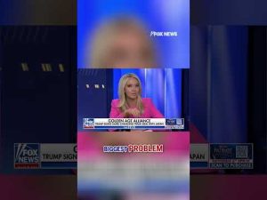 Read more about the article McEnany: Democrats are falling in the hole of the East Wing #shorts  #foxnews #news #us #fox