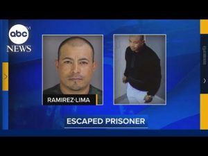 Read more about the article Man with multiple arrest warrants, ICE detainers escapes police while handcuffed