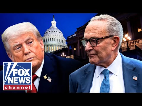 You are currently viewing ‘STOP THE MADNESS’: GOP lawmaker RAILS against Dems blocking shutdown deal