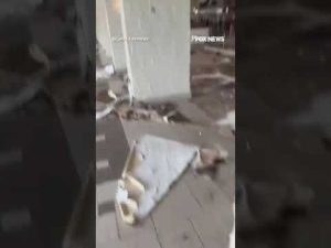 Read more about the article WATCH: Residents in Jamaica survey devastation after deadly Hurricane Melissa #shorts #foxnews #us