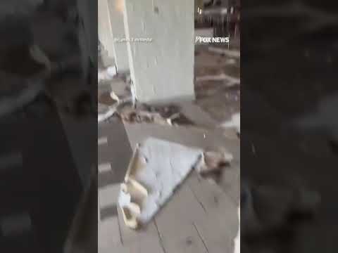 You are currently viewing WATCH: Residents in Jamaica survey devastation after deadly Hurricane Melissa #shorts #foxnews #us