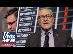 Read more about the article ‘UNCONSCIONABLE’: GOP senator calls on Dems to reopen the government