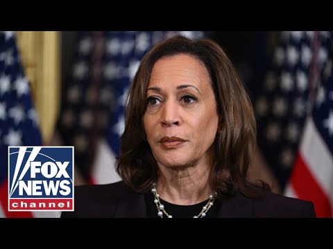 You are currently viewing Reporter CALLS OUT Kamala Harris face-to-face: ‘WORLD CLASS PIVOT’