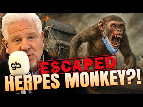 You are currently viewing Disease-Infested Monkeys LOOSE in Mississippi?!