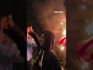 Read more about the article PROTECTING OLD GLORY: Journalist steps in to stop rioters from burning American flag #shorts #usa