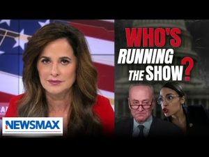 Read more about the article Lidia Curanaj: ‘Schumer shutdown’ motivated by Schumer’s fear of radical left backlash