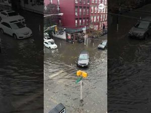 Read more about the article Torrential rain brings floods to New York, New Jersey