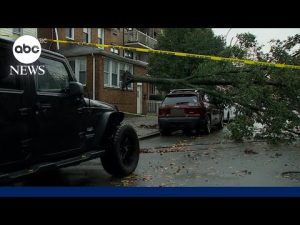 Read more about the article Over 5,000 flights delayed or canceled after dangerous storm slams Northeast