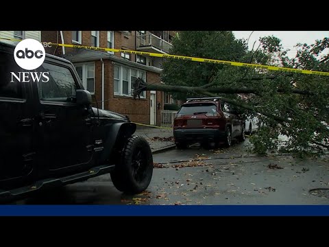 You are currently viewing Over 5,000 flights delayed or canceled after dangerous storm slams Northeast