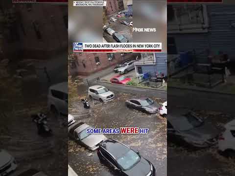 You are currently viewing Two dead after floodwaters rip through NYC #foxnews #news #us #fox #nyc #newyork