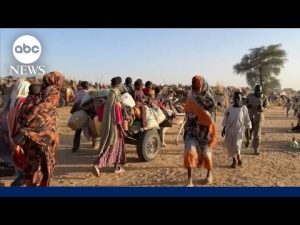 Read more about the article Paramilitary group RSF seizes control of key city in Sudan