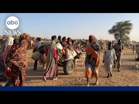 You are currently viewing Paramilitary group RSF seizes control of key city in Sudan