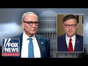 Read more about the article Mike Johnson says Dems are ‘AFRAID’ of Schumer: ‘There’ll be a price to pay’