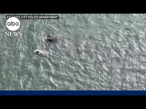 You are currently viewing Police officer on braving icy waters to rescue injured dog