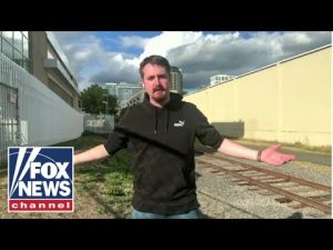 Read more about the article ‘They threw me in JAIL!’: Journalist on ‘crazy day’ being arrested outside ICE facility