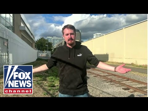 You are currently viewing ‘They threw me in JAIL!’: Journalist on ‘crazy day’ being arrested outside ICE facility