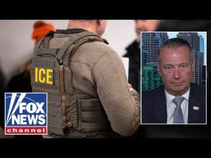 Read more about the article ICE director: Threats, violence against ICE officers is ‘just too much right now’