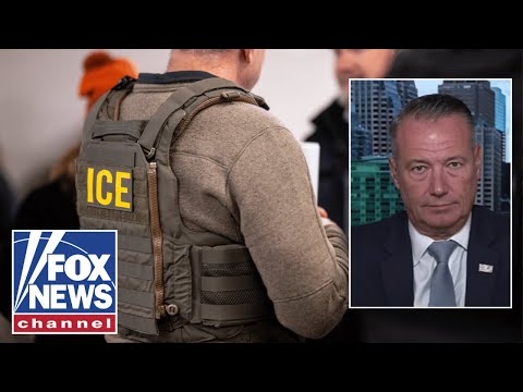 You are currently viewing ICE director: Threats, violence against ICE officers is ‘just too much right now’