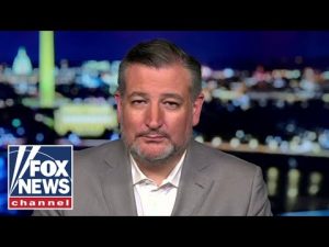 Read more about the article Ted Cruz: The Dem Party has gone ‘bat-crap crazy’
