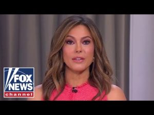 Read more about the article Lisa Boothe: Democrats are in a ‘weak’ position here