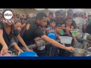 Read more about the article Representative from World Food Program on Gaza’s humanitarian crisis