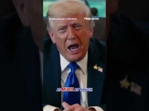 Read more about the article UNPRECEDENTED: Trump hails breakthrough in Hamas peace talks #shorts #trump #hamas #us #news