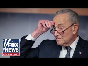 Read more about the article ‘SCARED OLD MAN’: Emmer says Schumer clinging to power amid shutdown