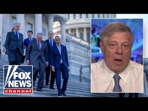 Read more about the article EXCEPT ONE: He’s the only moderate in the Democratic Party, says pollster