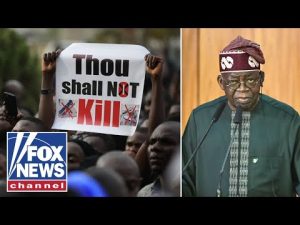 Read more about the article This is an existential CRISIS in Nigeria: US ambassador says