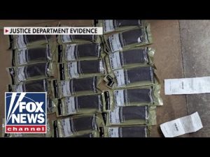 Read more about the article BREAKING: 3 more arrests in Michigan terror plot