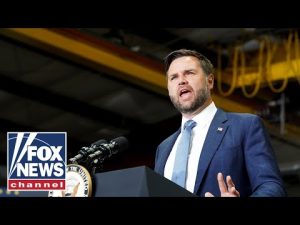 Read more about the article JD Vance: IDIOTIC to overreact to this