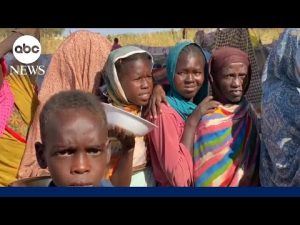 Read more about the article Sudan hunger crisis is a ‘desperate situation’: IRC