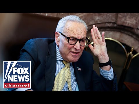You are currently viewing Dem puts Schumer ON NOTICE amid election gains: ‘Absolutely’ a WARNING