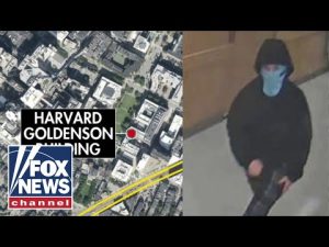Read more about the article BREAKING: Alleged Harvard explosion suspect pictured on cam