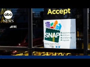 Read more about the article Judge orders Trump administration to fully fund SNAP benefits by Friday