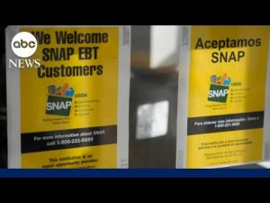 Read more about the article Judge orders Trump administration to fully fund SNAP benefits by Friday