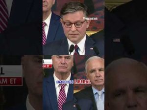 Read more about the article WATCH: Speaker Johnson addresses Nancy Pelosi not seeking re-election #shorts #congress #pelosi #fox