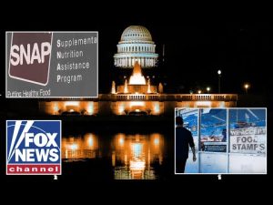 Read more about the article ALL TRICKS, NO TREATS: ‘Horror show’ for America as food stamps hang in the balance for millions