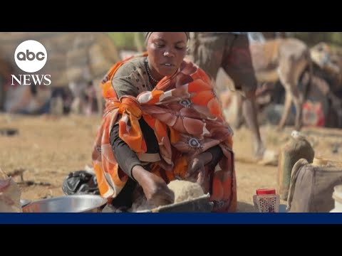 You are currently viewing Diplomats call for immediate ceasefire in Sudan