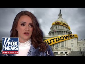 Read more about the article Journalist warns government shutdown pain is ‘about to be felt’