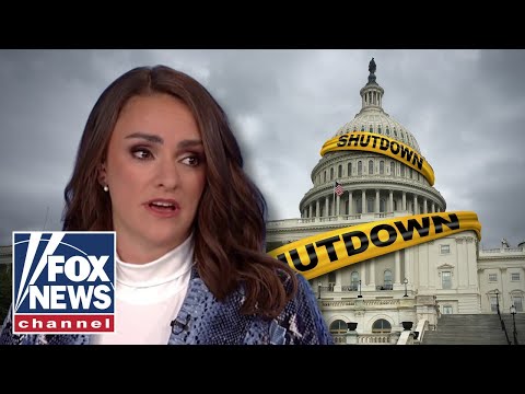 Read more about the article Journalist warns government shutdown pain is ‘about to be felt’