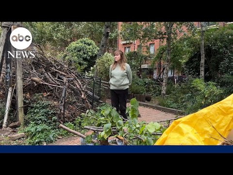 You are currently viewing Community rallies to save WWII bomb site-turned-garden in heart of London