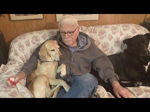You are currently viewing Dad’s smelly socks reunite 93-year-old with missing dog in incredible rescue