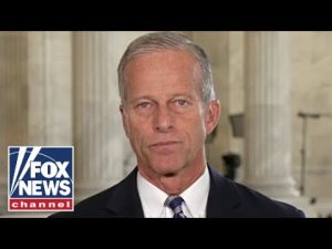 Read more about the article Sen Thune issues BOLD warning to Dems on shutdown: Will ‘cost them’