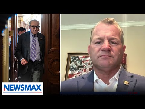 Read more about the article You can blame Schumer for reduction in flights: Troy Nehls | The Record with Greta Van Susteren