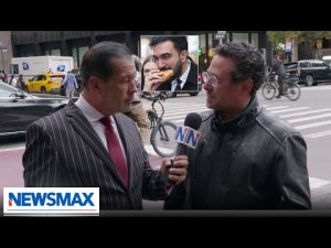 Read more about the article ‘Stop him’: New Yorkers sound off on Mamdani ahead of election | Wise Guys