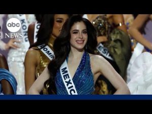 Read more about the article Uproar over comments made by a Miss Universe organization leader to a contestant