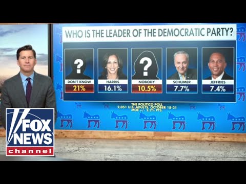 You are currently viewing Who do Democrats think is their leader?