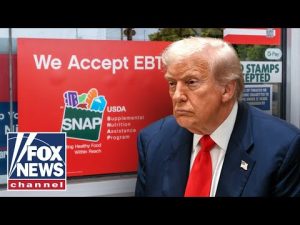 Read more about the article ‘MASSIVE FRAUD’: Trump admin sounds alarm on SNAP program abuse